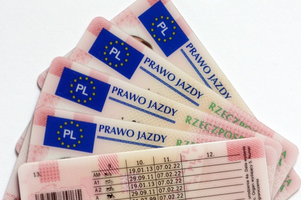 cross elektryczny uprawnienia